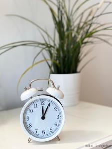 a clock sitting on a table next to a potted plant at Encantador apartamento junto al Mediterraneo by Hometels in Puerto de Sagunto