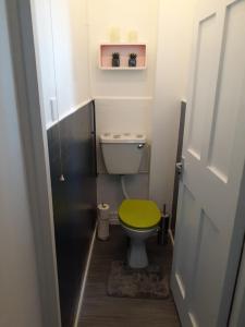 a bathroom with a toilet with a green seat at BIG BEN'S SHADE in London