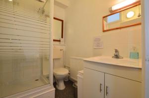 a bathroom with a toilet and a sink and a shower at The Owls in Builth Wells