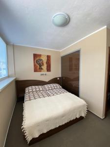 1 dormitorio con 1 cama grande en una habitación en Penzion Set, en Košice