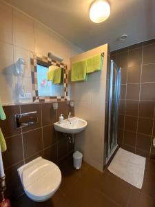 uma casa de banho com um WC, um lavatório e um chuveiro em Penzion Set em Košice