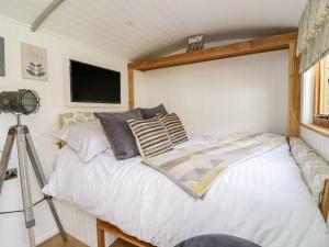 a bedroom with a bed with a television and a tripod at Betws View, Shepherd Hut in Betws-y-coed