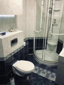 La salle de bains est pourvue d'une douche, de toilettes et d'un lavabo. dans l'établissement Apartamenty Maria, à Żywiec