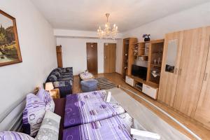 TV a/nebo společenská místnost v ubytování Silvestrovska Chata