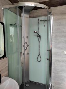 a shower with a glass door in a bathroom at Ferienwohnung Im Ilmtal in Großkromsdorf