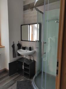a bathroom with a sink and a glass shower at Ferienwohnung Im Ilmtal in Großkromsdorf