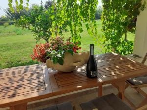 Nápoje v ubytování Villa Pusortu + 31 fotografií