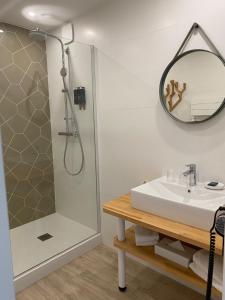 ein Bad mit einer Dusche, einem Waschbecken und einem Spiegel in der Unterkunft Villa Les Hydrangéas in Perros-Guirec