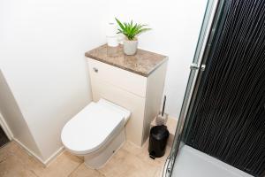 a bathroom with a toilet and a counter with a plant at Tyne Apartments in Gateshead