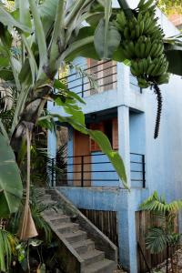 Gallery image of Pura Vida Hostel in Rio de Janeiro