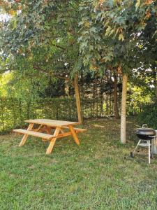 a picnic table and a grill next to a tree at Auberge de Jeunesse HI Rouen in Rouen