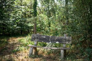 un banco de madera sentado en medio de un sendero en Chateau L' Escale, en Saint-Herblon