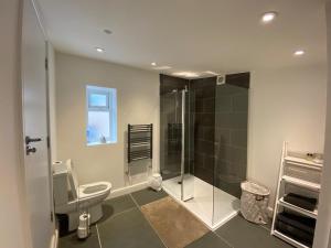a bathroom with a shower stall and a toilet at The Antidote in Ilfracombe