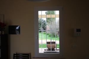 Zahrada ubytování Villa Bulcrini