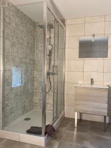 een badkamer met een douche en een wastafel bij Clos De La Charnaille in Cousance