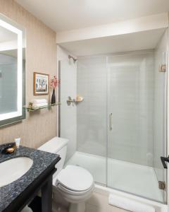 a bathroom with a shower, toilet and sink at Claridge House in Chicago
