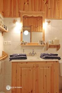 een badkamer met een wastafel en een spiegel bij Les Chambres du Chataignier in Léry