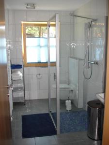 a bathroom with a shower and a sink at Haus Telisia in Klösterle am Arlberg