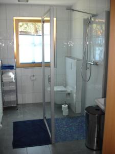ein Bad mit einer Dusche und einem Waschbecken in der Unterkunft Haus Telisia in Klösterle am Arlberg