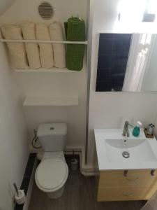 Un baño con inodoro, lavabo y espejo. en CHILL SPOT avec vue sur lagon - with a lagoon view SXM, en Marigot