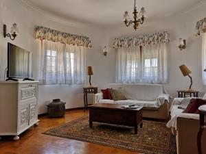 a living room with a couch and a tv at Casal do Morgado, country house to relax in Formigais