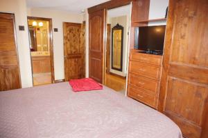 a bedroom with a bed and a tv and a dresser at 100 Dean St E #2B in Aspen