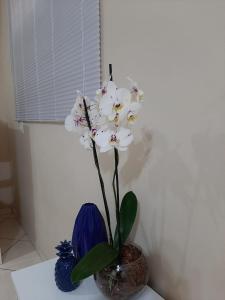 Foto da galeria de Divino Lugar em Olímpia
