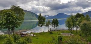 vistas a un lago con árboles y montañas en Lykkebo, Skjoldehamnveien 1151, Nygård, Andøy, en Risøyhamn