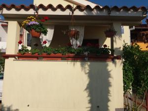 法扎纳Apartman Luka的相册照片