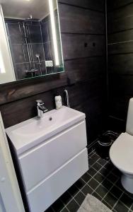 a bathroom with a white sink and a toilet at Arctic Skylight Lodge in Äkäslompolo +30 photos