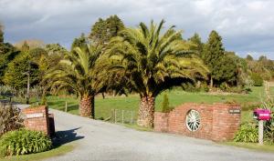 two palm trees next to a brick wall at Oak Lodge in Greymouth