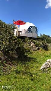 a tent with a red umbrella on top of a field at Glamping Cabaña San Martin in Guatavita