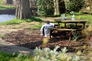 Best Western Bolholt Country Park Hotel في بيوري: رجل يجلس على طاولة نزهة في الحديقة