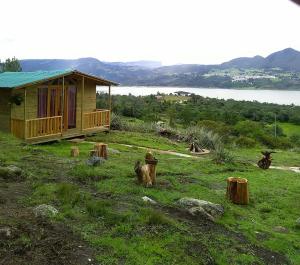 a dog standing in the grass in front of a cabin at Cabaña San Martin in Guatavita