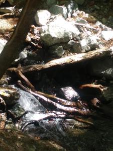 Naturlandschaft in der Nähe der Pension