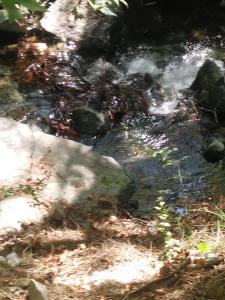 Naturlandschaft in der Nähe der Pension