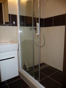 a shower with a glass door in a bathroom at Amazing City center apartment with balcony in Moravská Ostrava