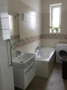 ein Badezimmer mit einem Waschbecken und einer Waschmaschine in der Unterkunft Amazing City center apartment with balcony in Moravská Ostrava
