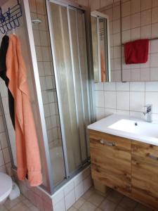 a bathroom with a shower and a sink at Ferienhaus Regina in Werfenweng