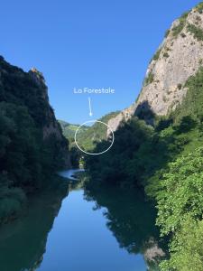 a river in the middle of a canyon at La Forestale Luxury Ecolodge B&B Primo Piano in Acqualagna