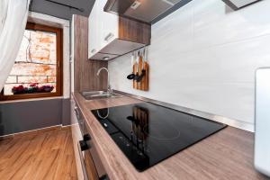 Kuchyň nebo kuchyňský kout v ubytování Luxury Apartment KASTELA ANTIKA