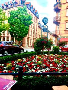 a garden of flowers in front of a building with a clock at Altbauwohnung am Gutenbergplatz in Karlsruhe