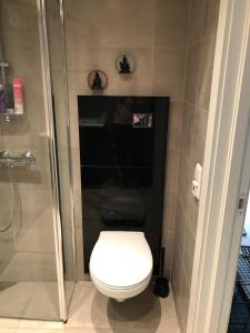 a bathroom with a toilet and a shower at Hytte med sjøutsikt og 20 min fra dyreparken in Grimstad