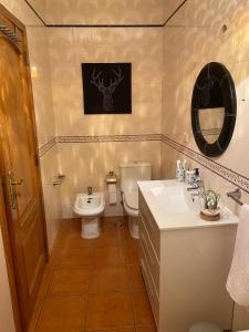 uma casa de banho com um WC, um lavatório e um espelho. em Country Town Apartment em Almeirim