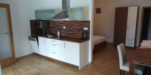 Kuchyňa alebo kuchynka v ubytovaní Aparthotel Rezidence Club Canada Lipno