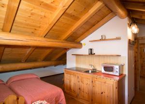 a kitchen with a sink and a microwave on a counter at Appartamenti Alba in Livigno
