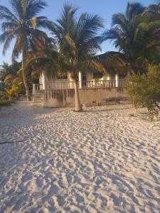 a beach with palm trees in front of a building at Perfect stay on Octopus up to 3 bedrooms apartment for rent in San Crisanto