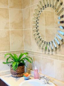 a bathroom with a sink and a mirror on the wall at L'Bloom Country House in Tulbagh +80 photos