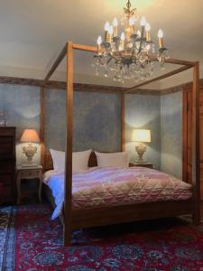 a bedroom with a canopy bed and a chandelier at Schloss Stülpe in Stülpe