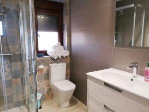 a bathroom with a toilet and a sink and a shower at Casa Rural Vereda - Fábrica de Cerveza in Ledigos
